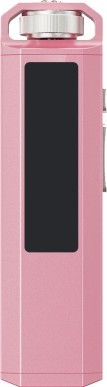 FiiO SnowSky  Echo Nano