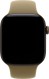 Apple Watch Series 12 (42 mm)