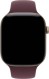Apple Watch Series 12 (46 mm)
