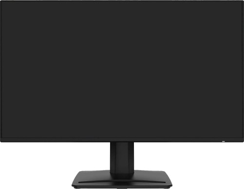 MSI PRO MP243